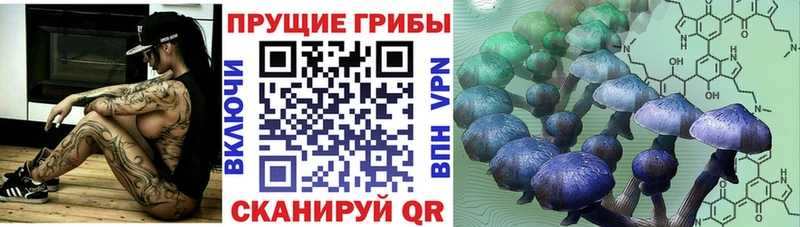 Псилоцибиновые грибы ЛСД  Полысаево 